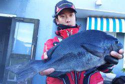 伊豆下田フィッシング 釣果