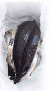 伊豆下田フィッシング 釣果