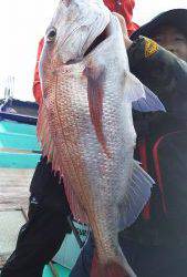 伊豆下田フィッシング 釣果