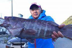 伊豆下田フィッシング 釣果