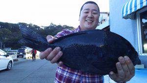 伊豆下田フィッシング 釣果