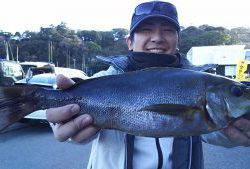 伊豆下田フィッシング 釣果