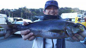 伊豆下田フィッシング 釣果