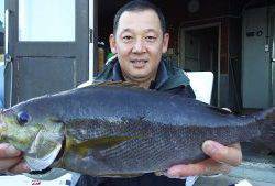 伊豆下田フィッシング 釣果