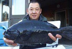 伊豆下田フィッシング 釣果