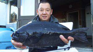 伊豆下田フィッシング 釣果