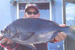 伊豆下田フィッシング 釣果