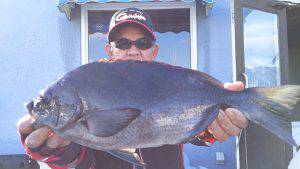 伊豆下田フィッシング 釣果