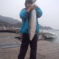 由良海上釣り堀 海人 釣果