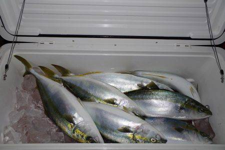 ハピネスⅡ 釣果