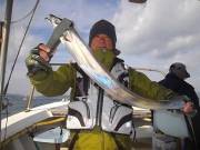 おおせき丸 釣果