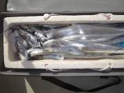 おおせき丸 釣果