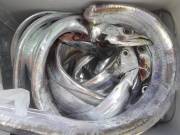 おおせき丸 釣果