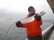 おおせき丸 釣果