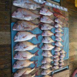 磯部釣船 直栄丸 釣果