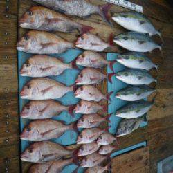 磯部釣船 直栄丸 釣果