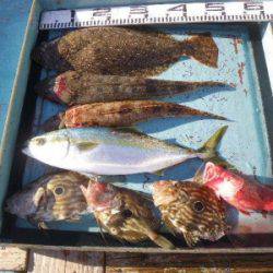 磯部釣船 直栄丸 釣果