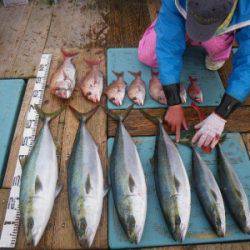 磯部釣船 直栄丸 釣果