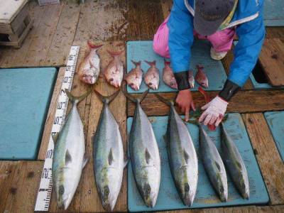 磯部釣船 直栄丸 釣果