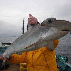 磯部釣船 直栄丸 釣果