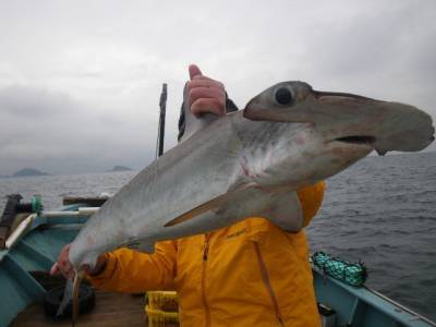 磯部釣船 直栄丸 釣果