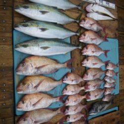 磯部釣船 直栄丸 釣果