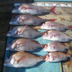 磯部釣船 直栄丸 釣果