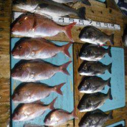 磯部釣船 直栄丸 釣果