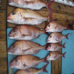 磯部釣船 直栄丸 釣果