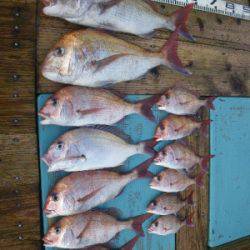 磯部釣船 直栄丸 釣果