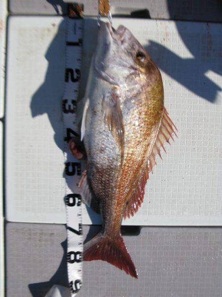 Aquanaut(アクアノート) 釣果