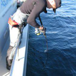 Aquanaut(アクアノート) 釣果