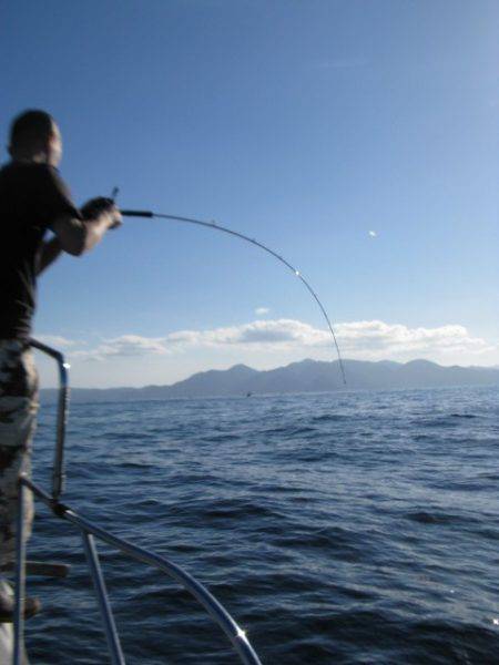 Aquanaut(アクアノート) 釣果