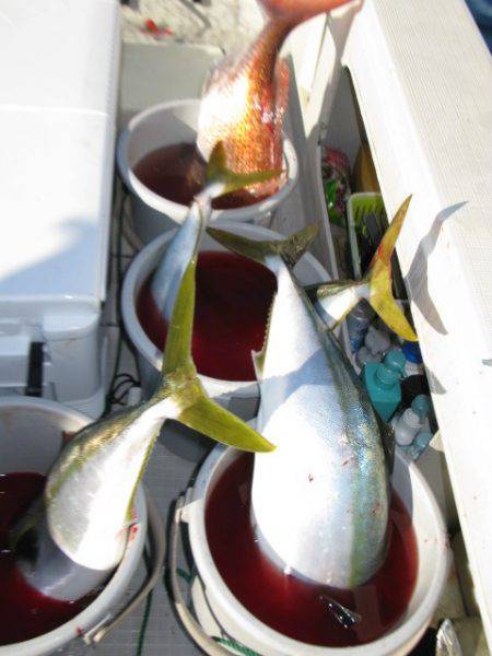 Aquanaut(アクアノート) 釣果