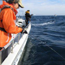 Aquanaut(アクアノート) 釣果