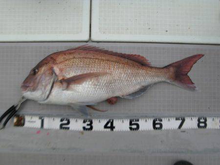 Aquanaut(アクアノート) 釣果