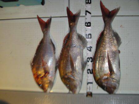 Aquanaut(アクアノート) 釣果