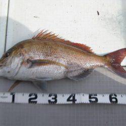 Aquanaut（アクアノート） 釣果