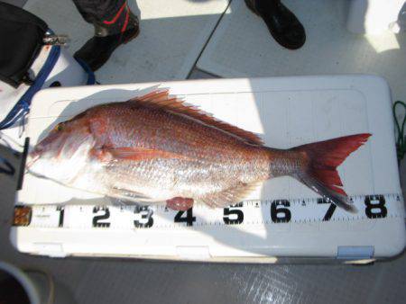 Aquanaut(アクアノート) 釣果