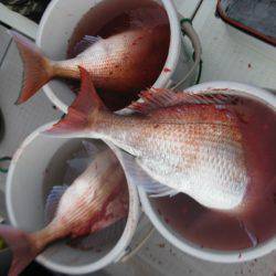 Aquanaut(アクアノート) 釣果