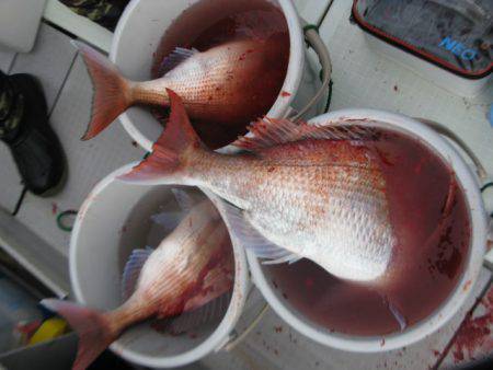 Aquanaut(アクアノート) 釣果