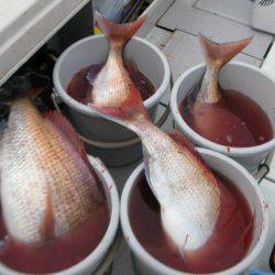 Aquanaut(アクアノート) 釣果