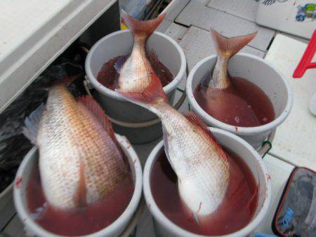 Aquanaut(アクアノート) 釣果