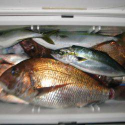 Aquanaut(アクアノート) 釣果