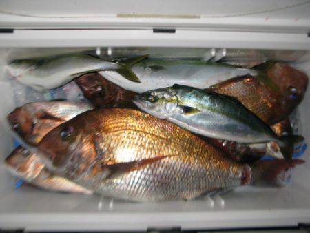 Aquanaut(アクアノート) 釣果