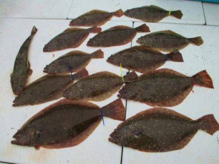 フィッシングガイド とちぎ 釣果