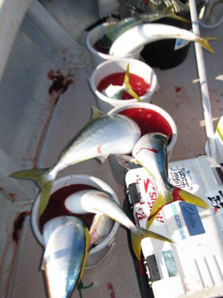 Aquanaut(アクアノート) 釣果