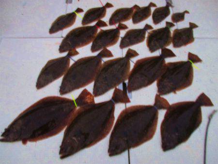 フィッシングガイド とちぎ 釣果