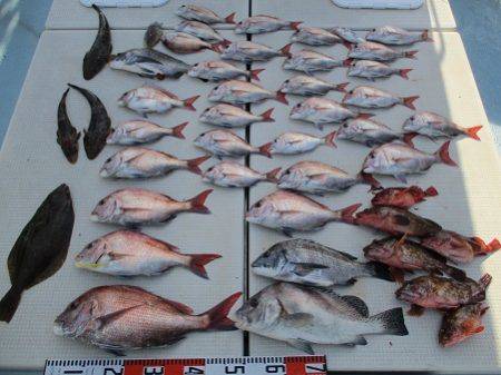 海人丸（うみんちゅまる） 釣果