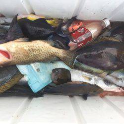 群星・むるぶし 釣果